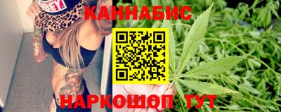 apvp Кингисепп