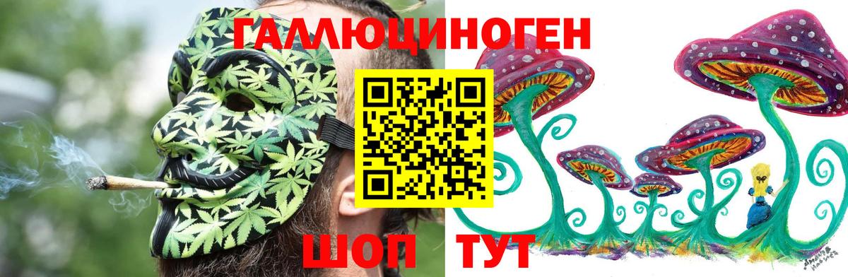 Глазов  что такое   Вход с VPN  Псилоцибиновые грибы ЛСД  Галлюциногенные грибы мухоморы 